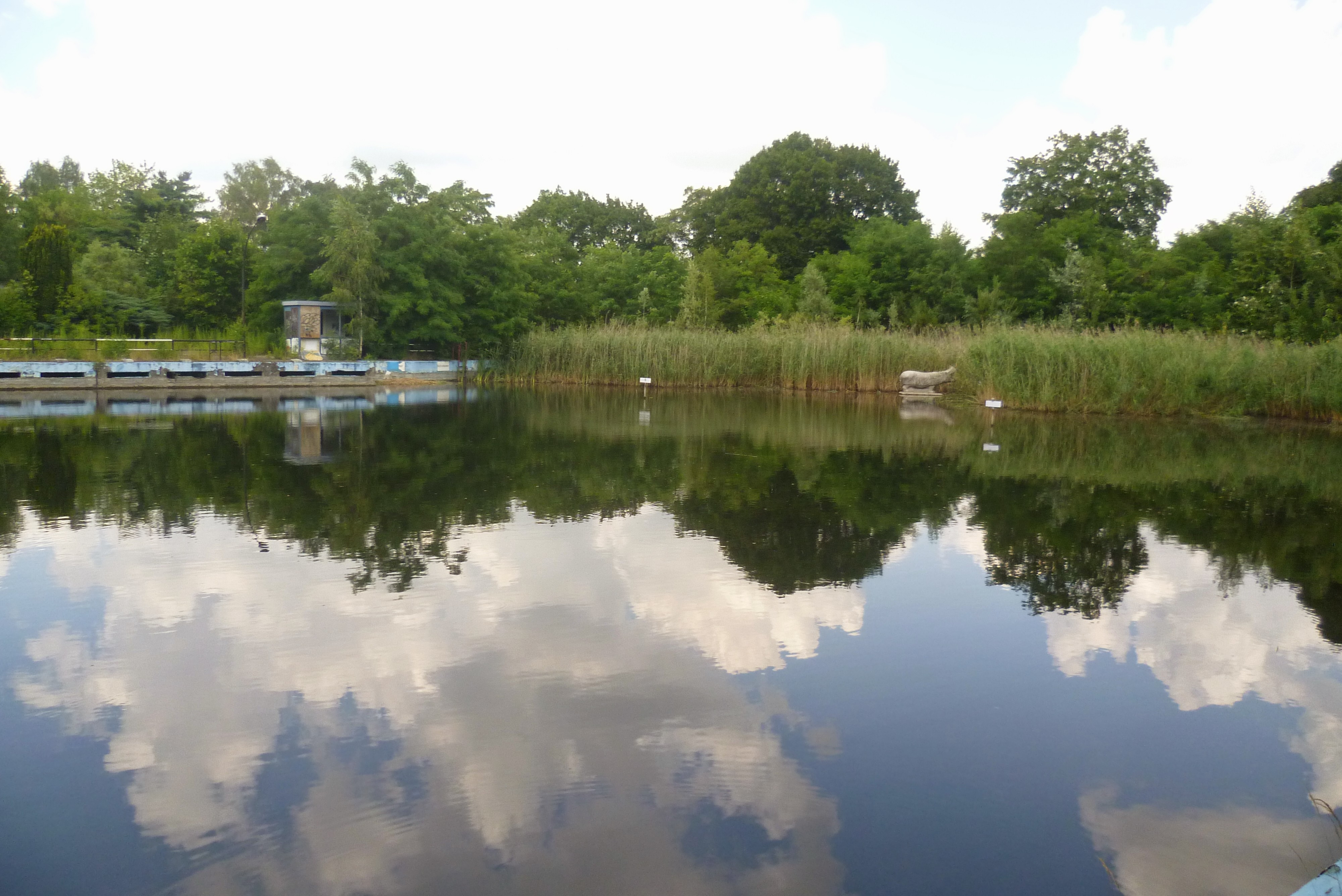 Wernersee in Kauldorf: so geht’s weiter