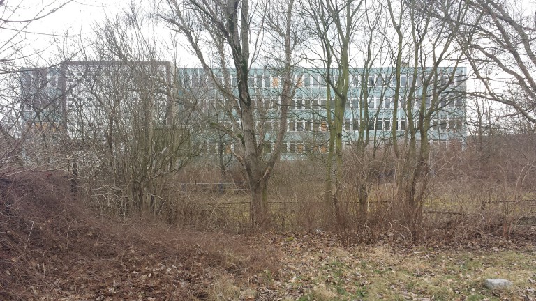 Bündnisgrüne planen Zukunft für Schulen und Kitas