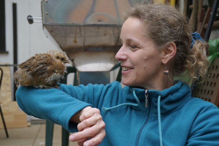 Hühner in der Stadt? Ein außergewöhnliches Projekt am Langen Tag der Stadtnatur 2017