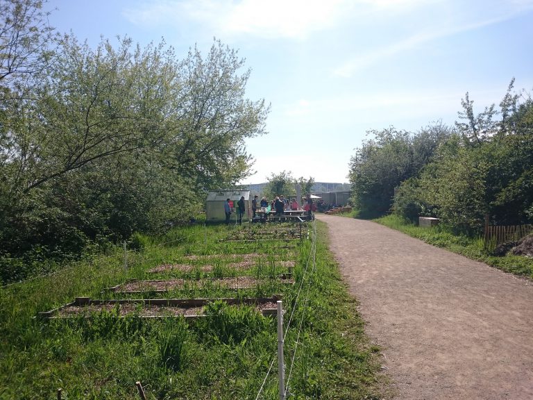 Grün macht Schule – Marzahn-Hellersdorf bekommt eine Gartenarbeitsschule