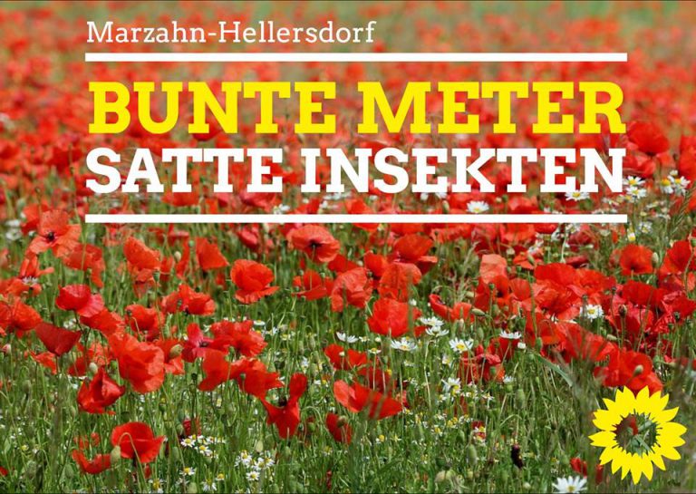 Marzahn-Hellersdorf soll blühen- Bunte Meter dieses Jahr endlich umsetzen
