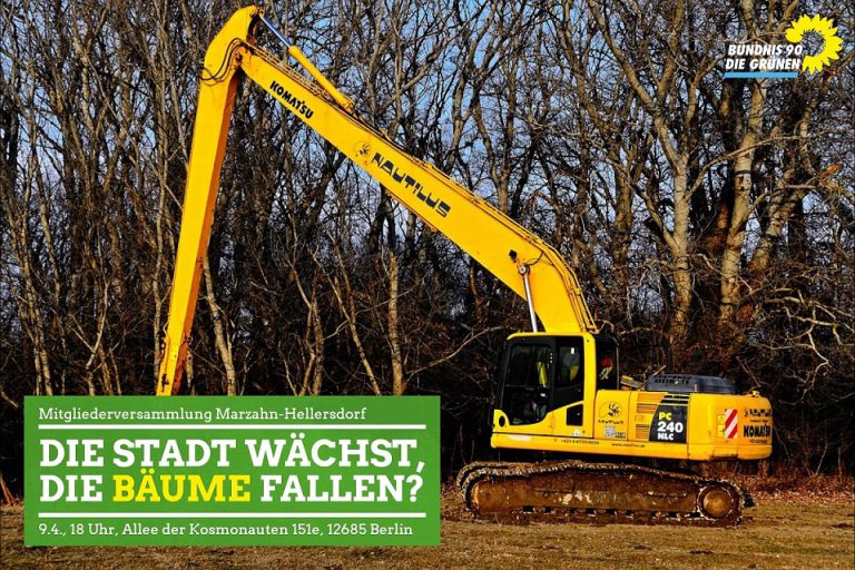 Die Stadt wächst, die Bäume fallen?