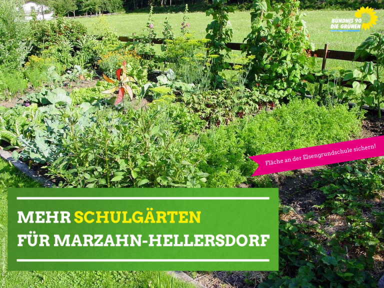Schulgartenvorhaltefläche an der Elsengrundschule sichern