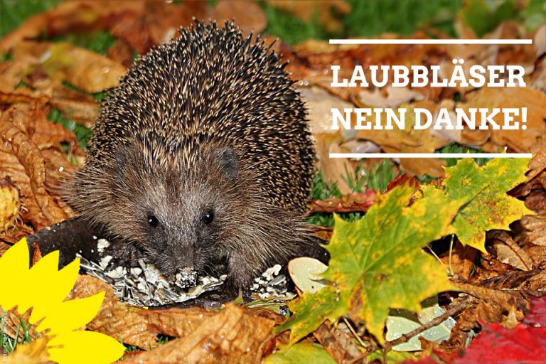 Klimaschonende Grünflächenpflege
