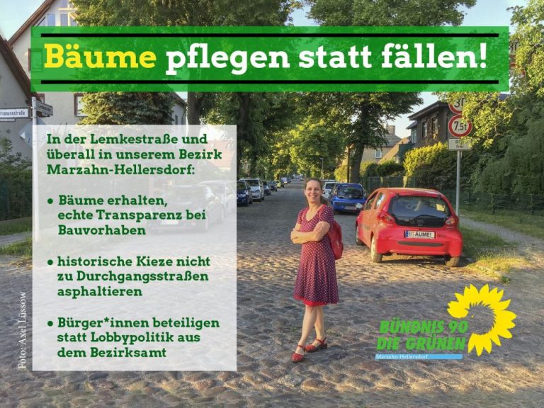 Anfrage zur Reststandzeit der Bäume in der Lemkestraße