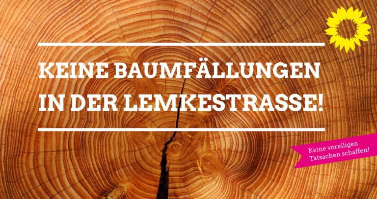 Sanierung Lemkestraße: Bündnisgrüne fordern Einhalt statt überstürzter Umsetzung