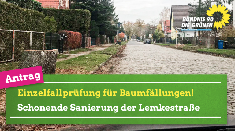 Sanierung der Lemkestraße