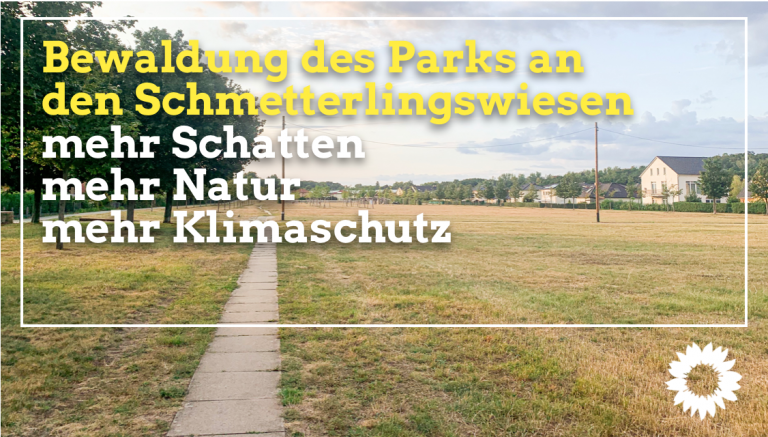 Unsere Forderung: Bewaldung der Schmetterlingswiesen