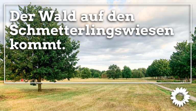 Mehr Bäume für die Schmetterlingswiesen