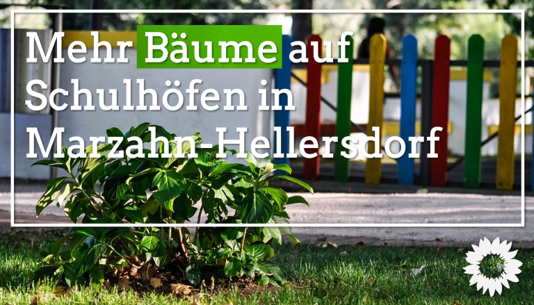 Mehr Bäume auf Schulhöfen