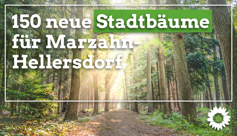 Marzahn-Hellersdorf bekommt 150 neue Bäume