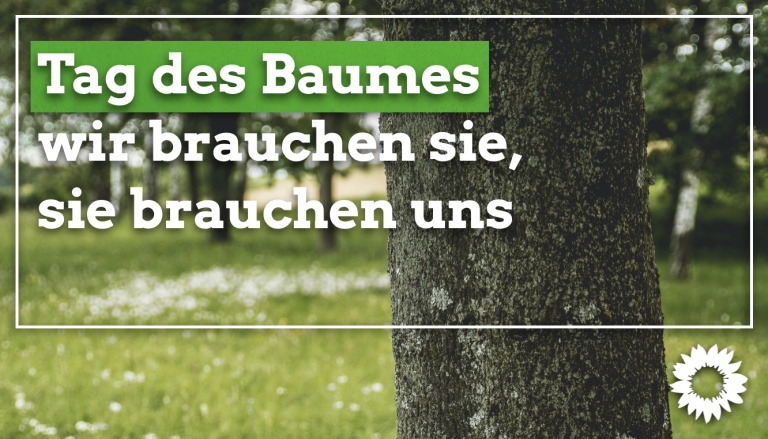 Tag des Baumes – wir brauchen sie, sie brauchen uns