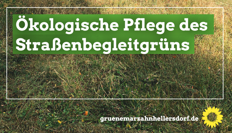 Für mehr Biodiversität: Ökologische Pflege des Straßenbegleitgrüns