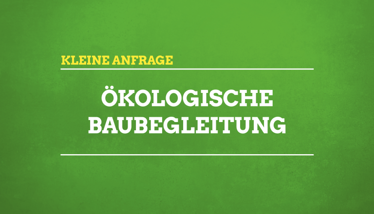 Baumschutz durch „Ökologische Baubegleitung“ in der Lemkestraße