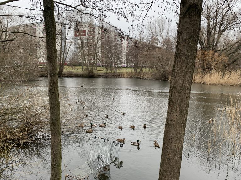 Springpfuhl-Park entmüllen und aufwerten