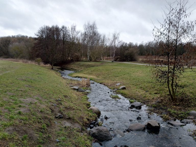 Zielvereinbarung zur besseren Pflege der Straßenbäume auch in Marzahn-Hellersdorf umsetzen