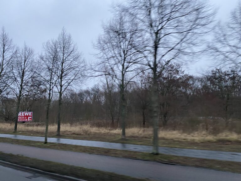 Zur als öffentliche Grünanlage ausgewiesenen Freifläche Buckower Ring/ Ecke Blumberger Damm