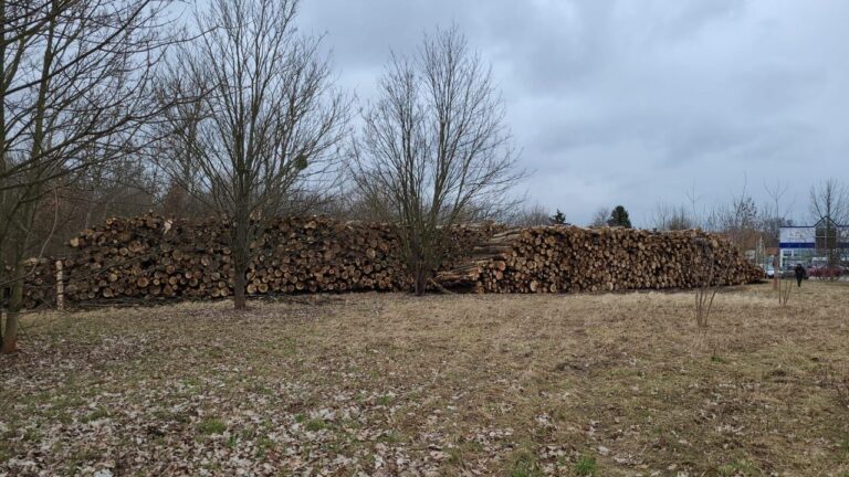 Hönower Weiherkette: Natur schützen