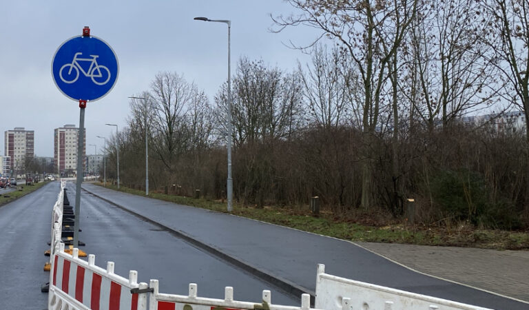 Zu den Baumfällungen im Rahmen der Sanierung der Hellersdorfer Str.