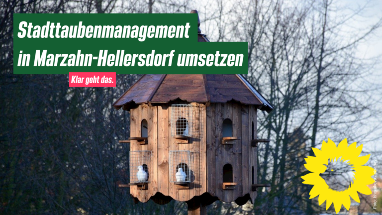 Errichtung von Taubenschlägen für einen sauberen und gesunden Bezirk