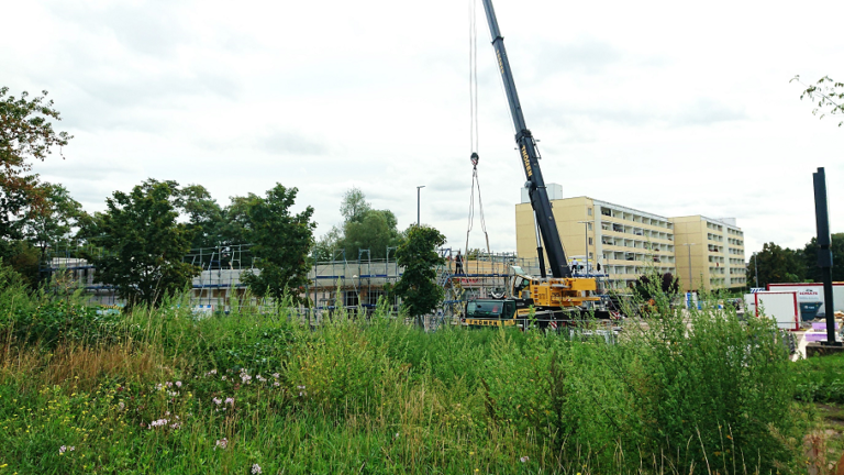Stadtnatur statt immer mehr Versiegelung