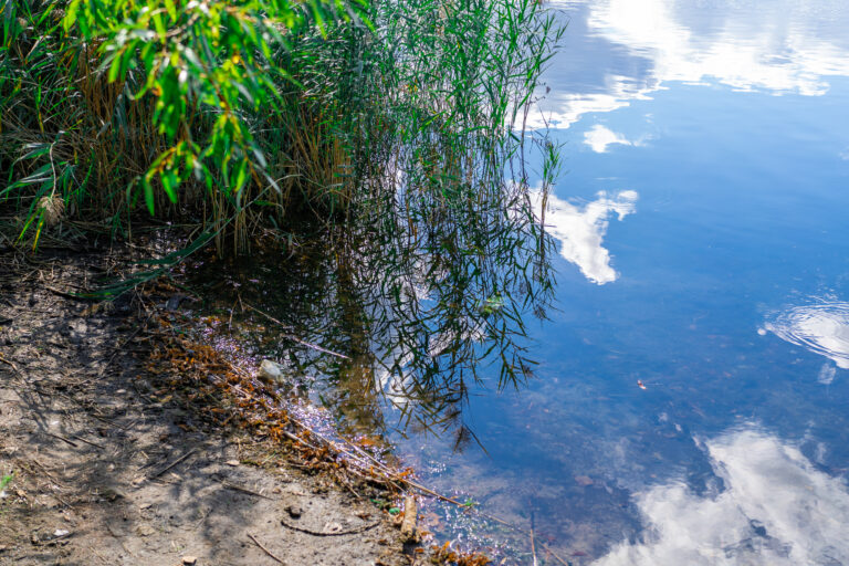Pegelstand im Biesdorfer Baggersee erhöhen
