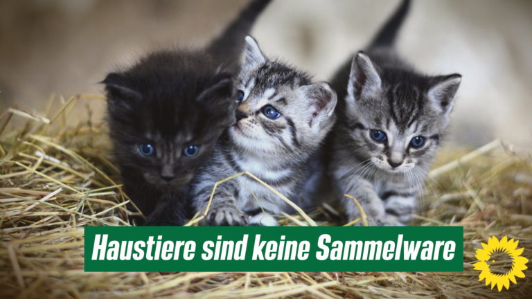 Zu Fällen von Tiersammelsucht in Marzahn-Hellersdorf