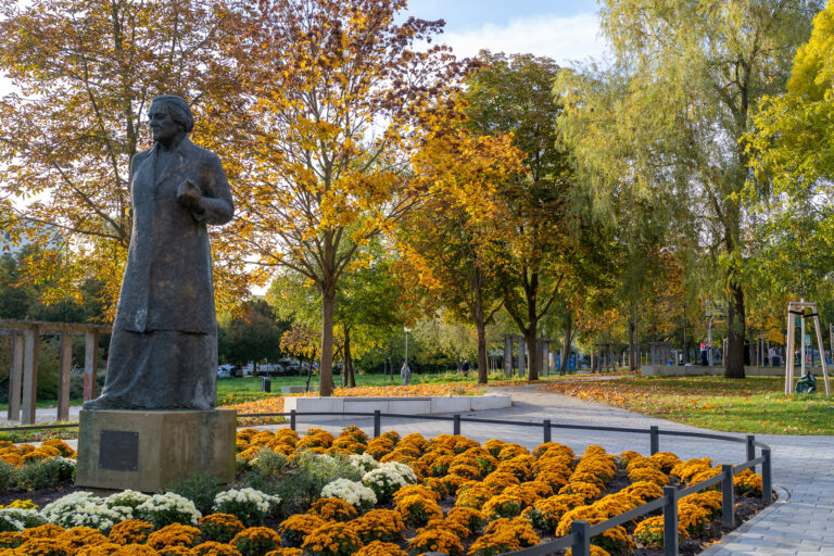 Clara-Zetkin-Park ökologisch aufwerten