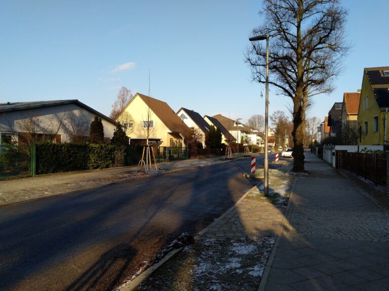 Bündnisgrüner Spaziergang zum Thema Straßenbäume