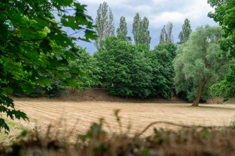 Regenrückhaltebecken am S-Bahnhof Biesdorf von Müll befreien