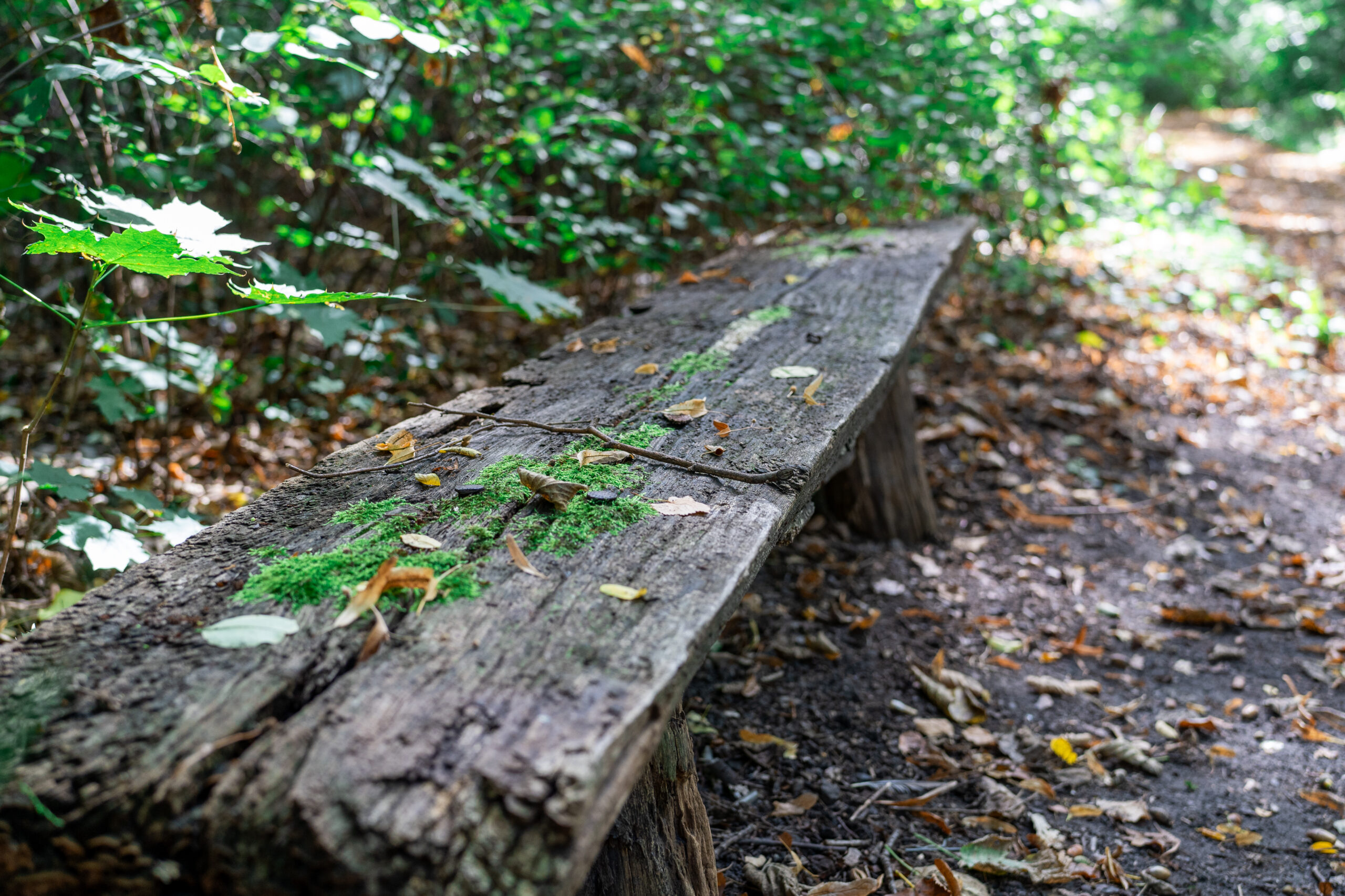 Marode Holzbank