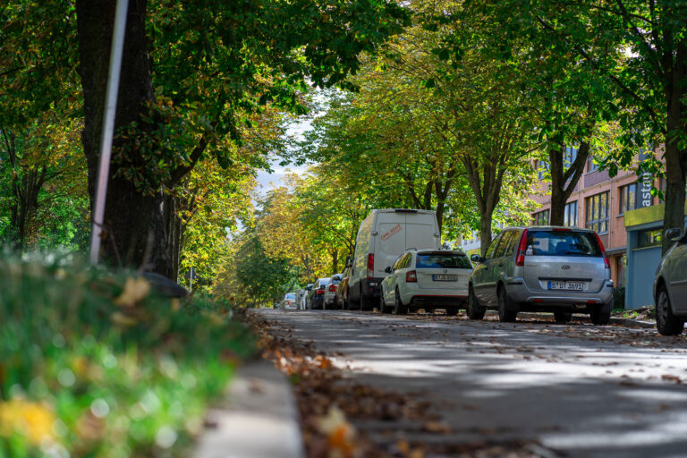 Etappenziel erreicht: endlich soll die Kastanienallee ein Stück sicherer werden