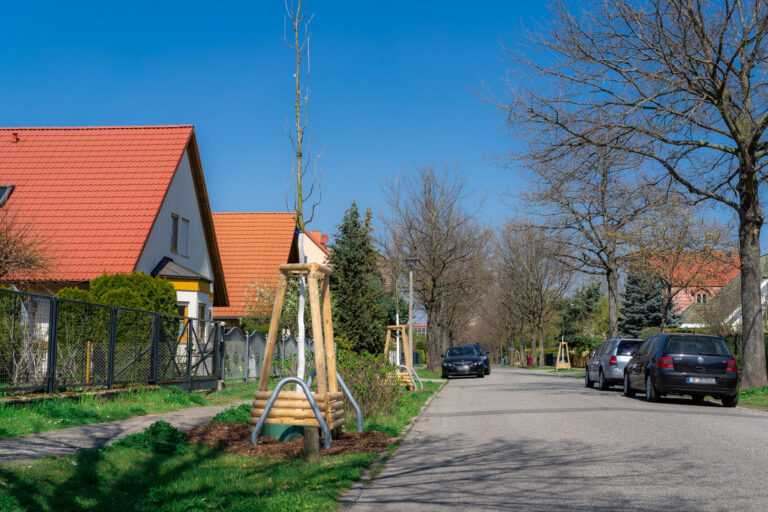 Hausbäume für Marzahn-Hellersdorf