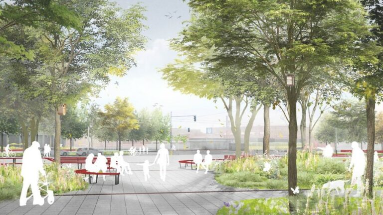 Grünflächen statt Betonwiese auf dem Alice-Salomon-Platz