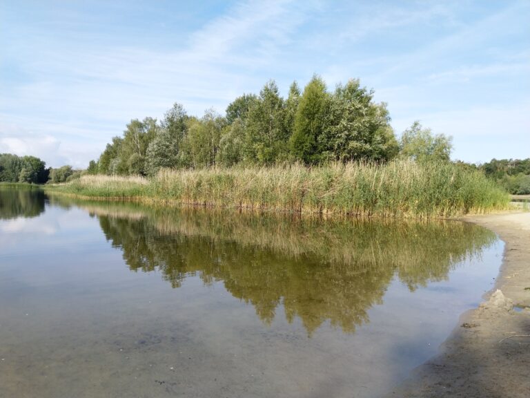 Badewasserqualität der Kausldorfer (Bagger)-Seen wird nicht gemessen
