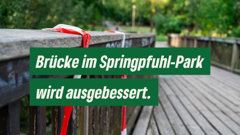 Brücke im Springpfuhl-Park soll ausgebessert werden